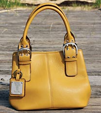 tignanello handbag review, tignanello totes, tignanello cross body bags, fossil bags, coach bags, tignanello backpacks, tignanello luggage, compare bags