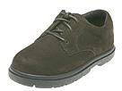 Buy Stride Rite - Cooper (Children) (Dark Chocolate Nubuck) - Kids, Stride Rite online.