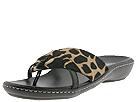 Cordani - Lois (Black/Leopard) - Women's,Cordani,Women's:Women's Casual:Casual Sandals:Casual Sandals - Strappy