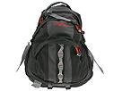 Jansport - Equinox 33 (Black/Carbon/Black) - Accessories,Jansport,Accessories:Handbags:Women's Backpacks