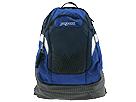 Buy discounted Jansport - Flo (Navy/E-Blue/White/Black) - Accessories online.