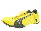 Buy discounted PUMA - Cross Country Street (Vibrant Yellow/Black/Firewater) - Women's online.