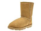 Buy discounted Ugg - Essential Short (Chestnut) - Women's online.