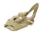 Buy Leo's - Lyric Sandal (Tan) - Lifestyle Departments, Leo's online.