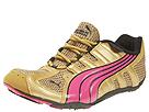 Buy PUMA - Taper (Metallic Gold/Beetroot Purple/Black) - Men's, PUMA online.