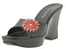 Buy Somethin' Else by Skechers - Crooks (Black Leather/Multi Trim) - Women's online. Buy discounted Somethin' Else by Skechers - Crooks (Black Leather/Multi Trim) - Women's online.