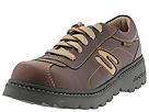 Buy discounted Skechers - Sashay (Toffee) - Women's online.