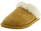 Buy discounted Hush Puppies Slippers - Dana (Tan) - Women's online.