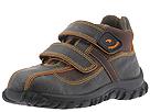 Buy Primigi Kids - Goran (Children) (Dark Brown (T Moro) Leather.Orange Trim) - Kids, Primigi Kids online.