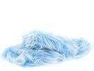 Buy discounted Sanuk - Hairball (Blue) - Women's online.