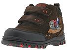 Buy Stride Rite - Motorcross H & L (Children) (Dark Chocolate Suede) - Kids, Stride Rite online.