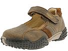 Buy Primigi Kids - Pices-E (Children/Youth) (Brown) - Kids, Primigi Kids online.