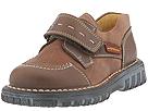 Petit Shoes - 61585 (Children/Youth) (Brown Leather (Frontera C-540)) - Kids,Petit Shoes,Kids:Boys Collection:Children Boys Collection:Children Boys Dress:Dress - Hook and Loop