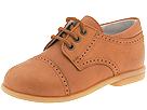 Buy discounted Petit Shoes - 43867 (Infant/Children) (Tan Leather (Frontera C-666)) - Kids online.