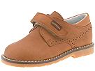 Buy discounted Petit Shoes - 43868 (Children) (Tan Leather (Frontera C-201)) - Kids online.