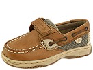 Sperry Kids - Bluefish Hook & Loop (Infant/Toddler) Thumbnail