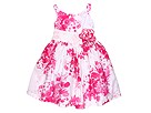 Baby Nay Kids - Toile Bouquet Puffy Dress (Infant/Toddler/Little Kids) (Peony) - Apparel