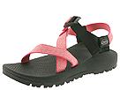Buy discounted Chaco - Z/1 Terreno (Sweetwater) - Women's online.