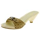 Buy discounted Joey O - Quito (Tan Croco) - Women's online.