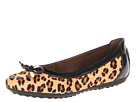 Geox - Donna Piuma Ballerina 27 (Leopard/Black)