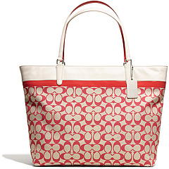 COACH Key Items Printed Signature Tote Silver/Light