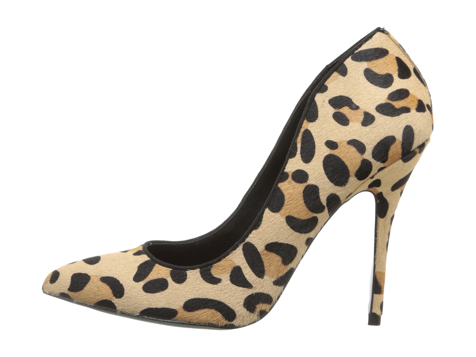 Steve Madden Galleryl Leopard | Shipped Free at Zappos