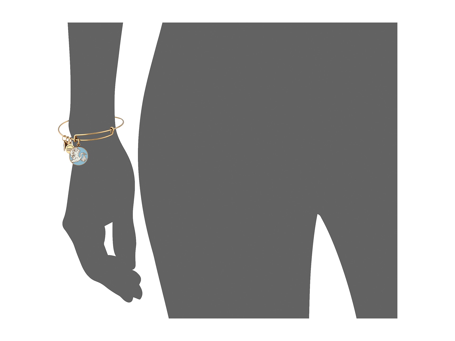 Alex and Ani Blue Special Delivery Charm Bangle - Zappos Free ...
