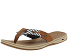 Sperry Top-Sider Seafish Marinier Stripe (Navy/Cognac)