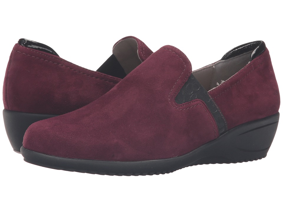 ara Lilli (Burgundy Suede/Patent) Women
