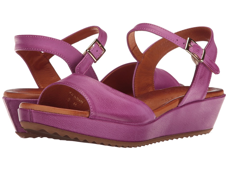 Sesto Meucci Becka (Fuchsia Cera) Women