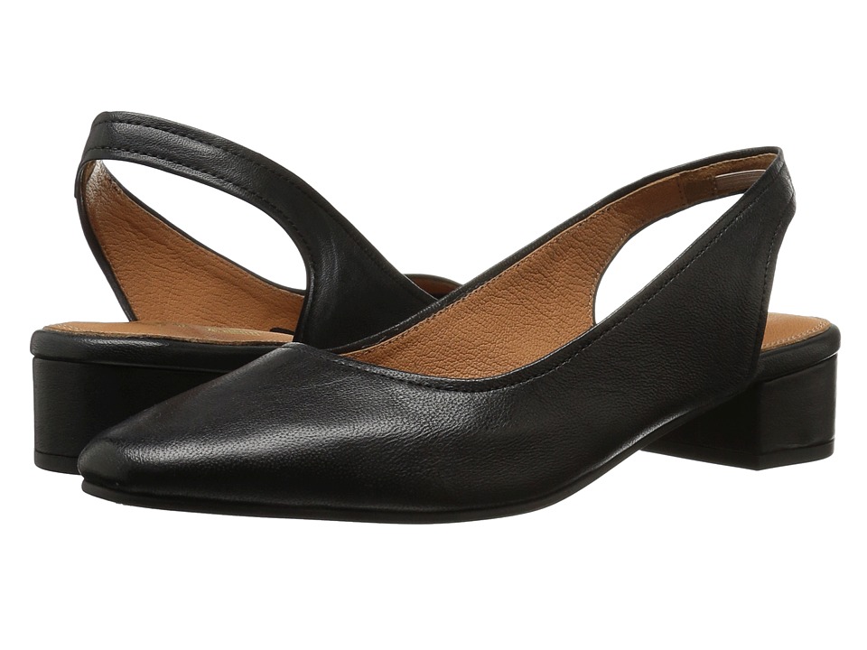 Seychelles Electric (Black Leather) Women