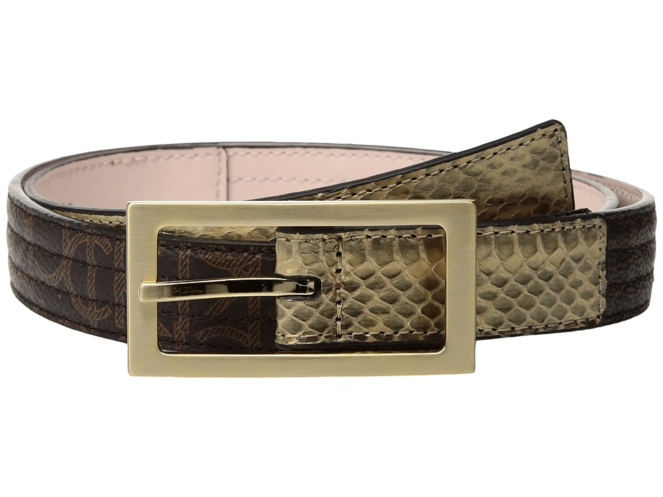 Calvin Klein 25mm Trapunto Strap w/ Flat Tabs (Brown Logo/Gold Snake/Brushed Gold) Women