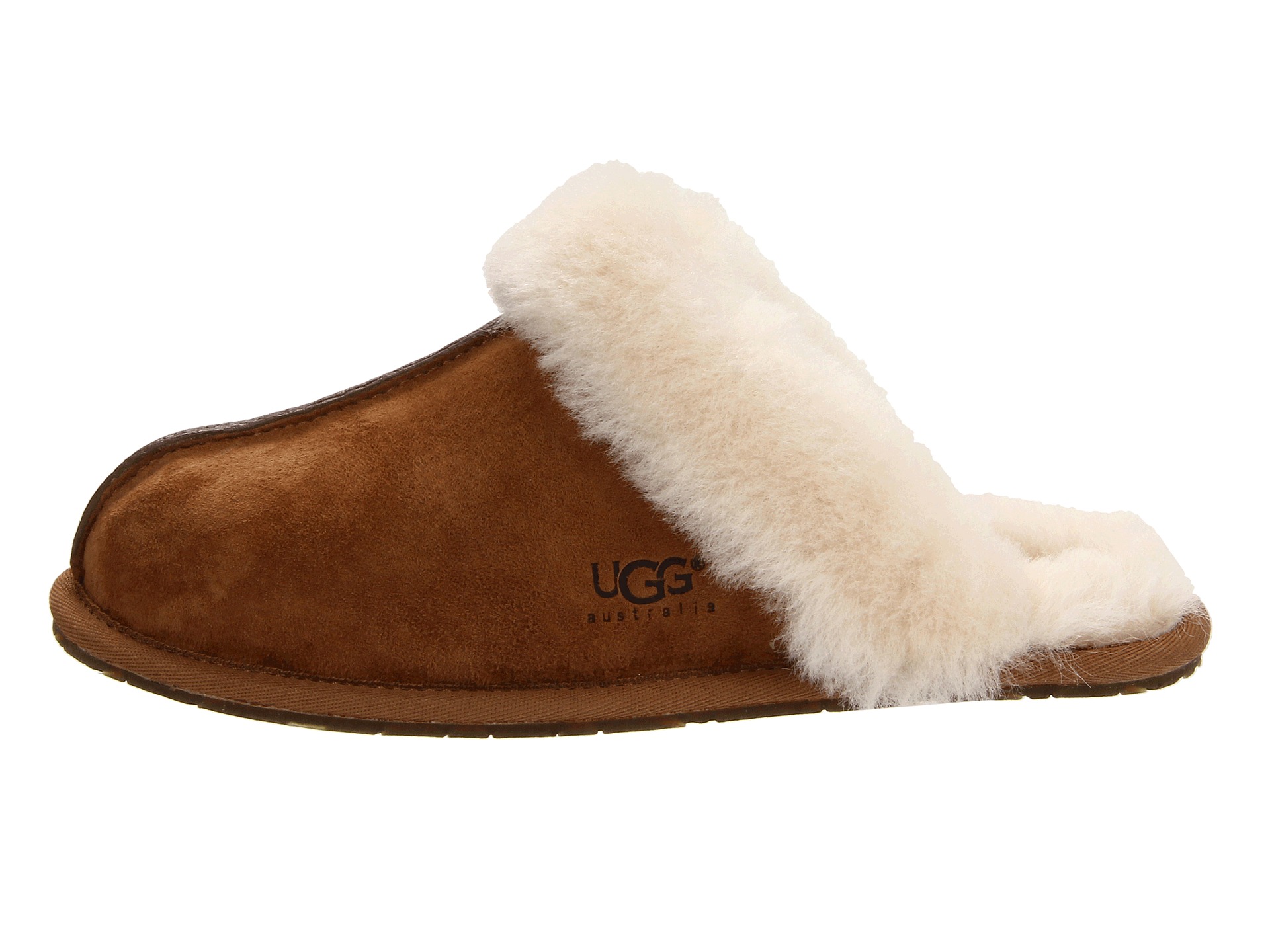 ugg scuffette at zappos ugg scuffette at zappos