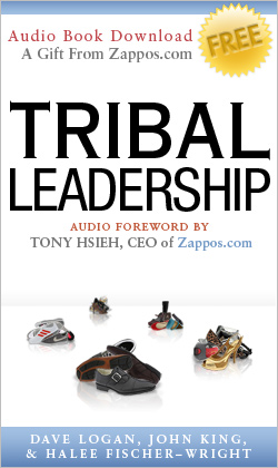 Tribal Leadership