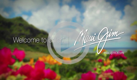 sunglasses zapposcom free shipping sun glasses 480x280