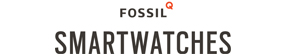 Fossil Q Logo
