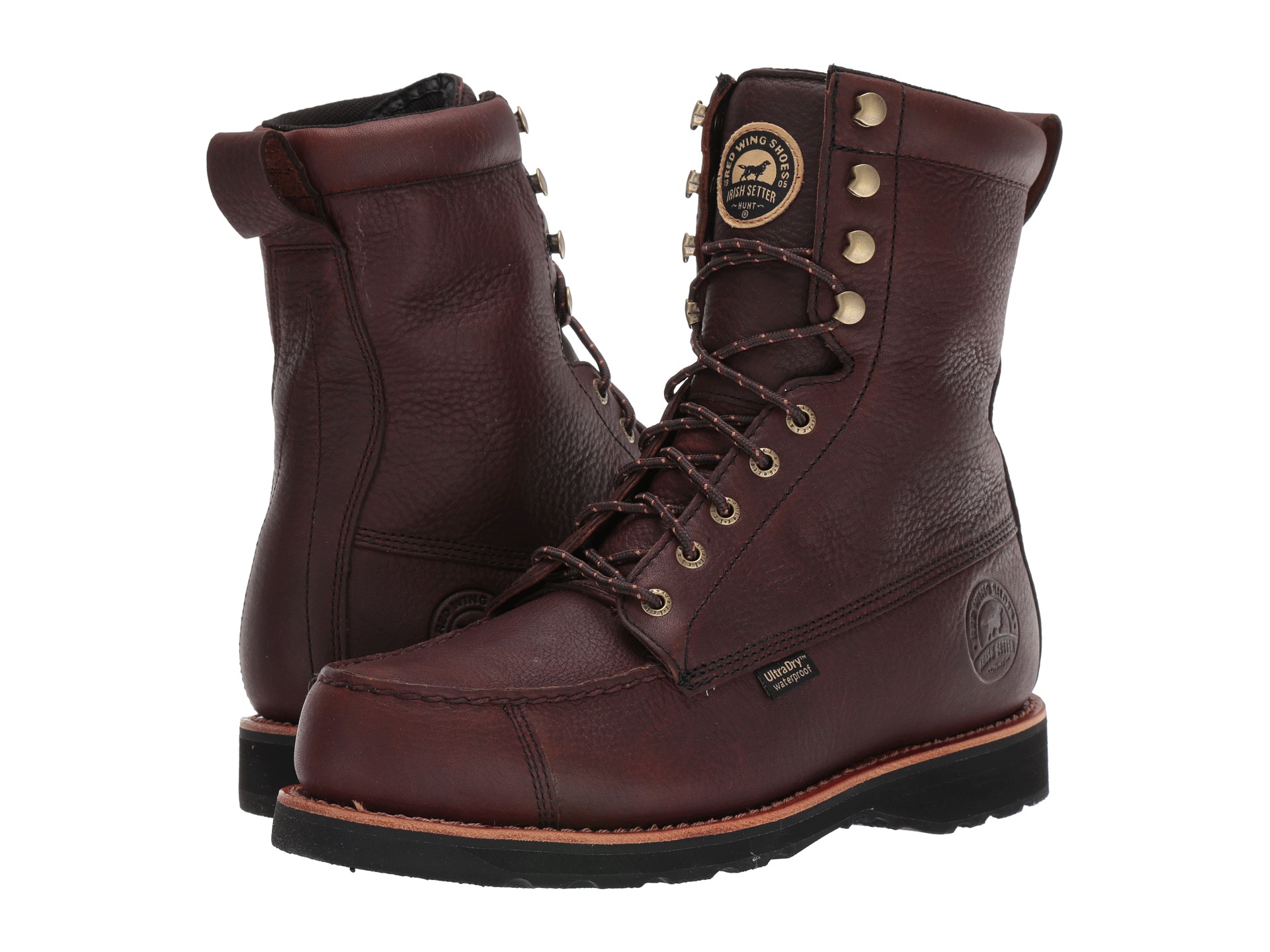 wingshooter st irish setter