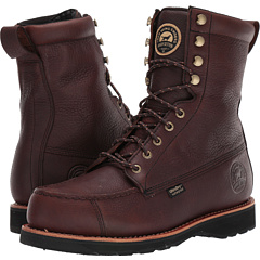 irish setter wingshooter 808