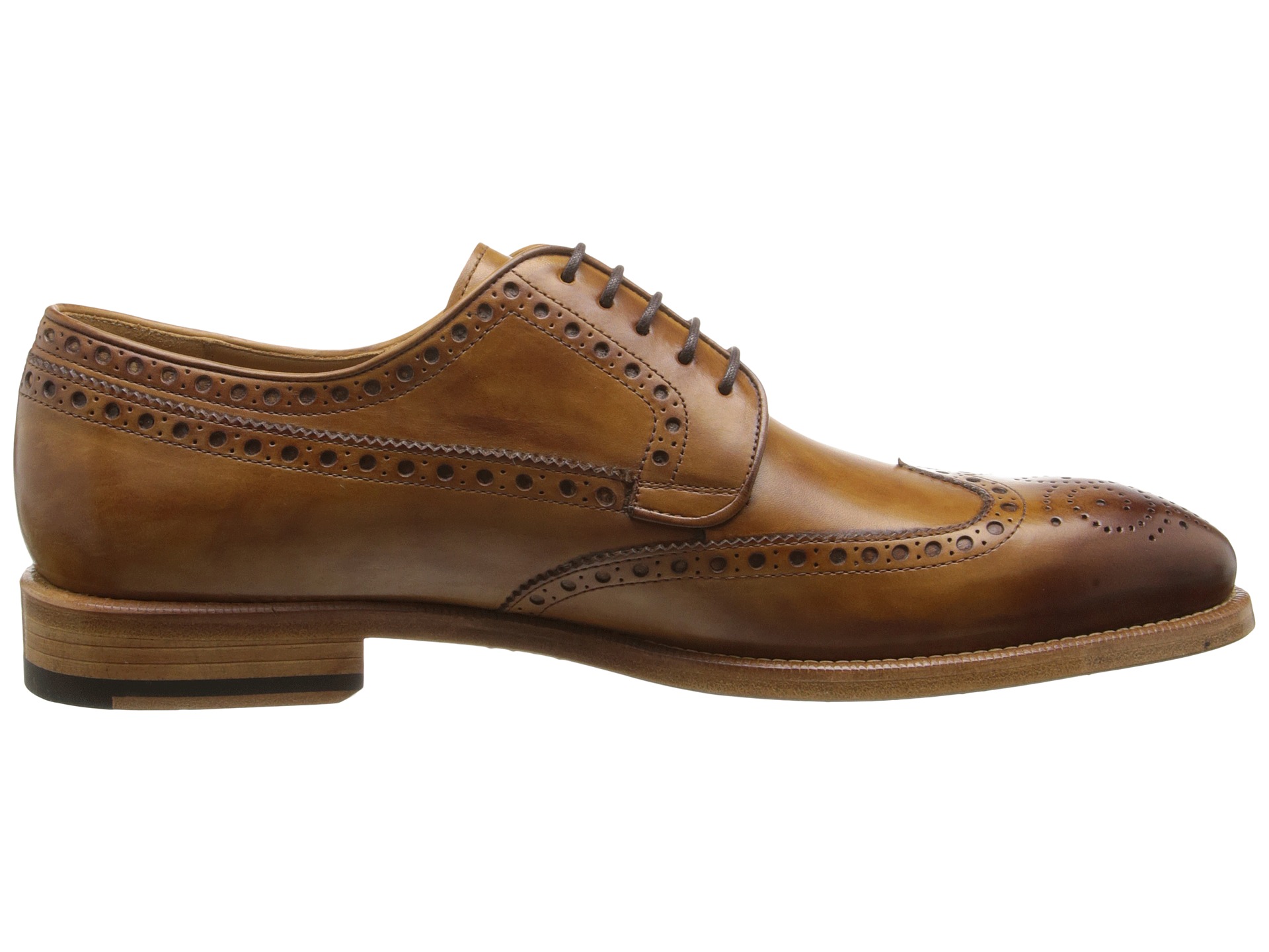 magnanni arlo