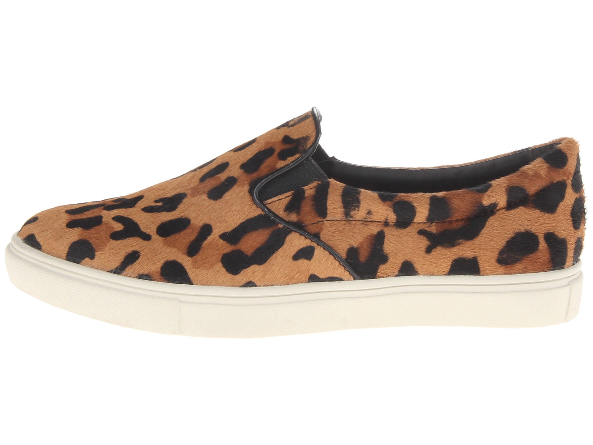 Steve Madden Ecentric Leopard | Shipped Free at Zappos