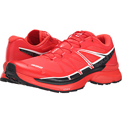 salomon lab wings