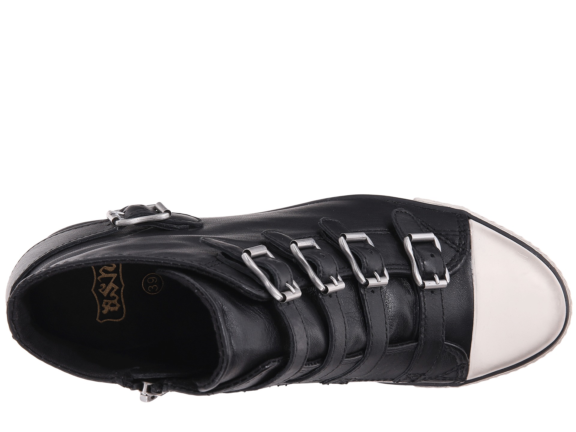zappos ash