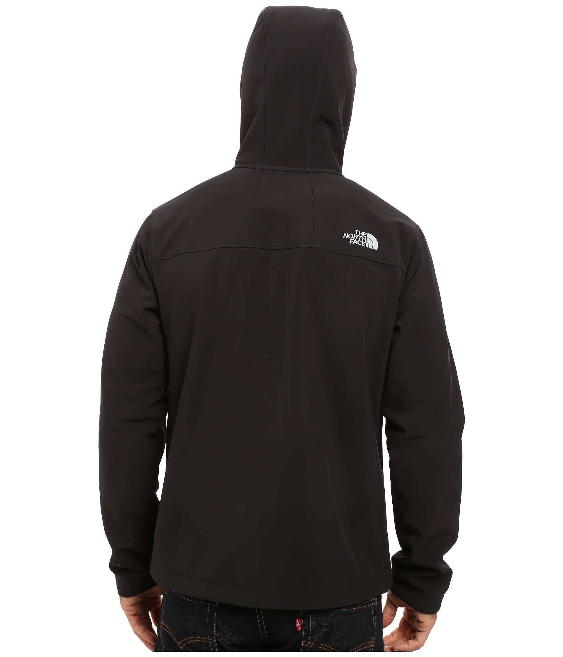 The North Face Apex Bionic 2 Hoodie at Zappos.com