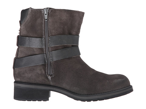 史蒂夫·马登steve madden dormaa