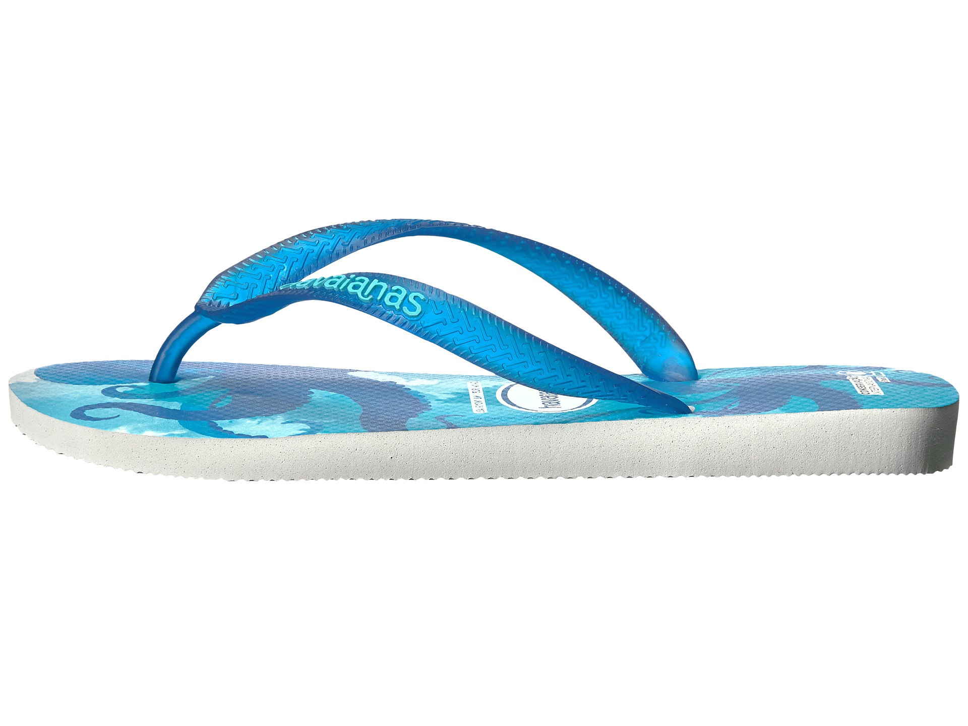 havaianas conservation