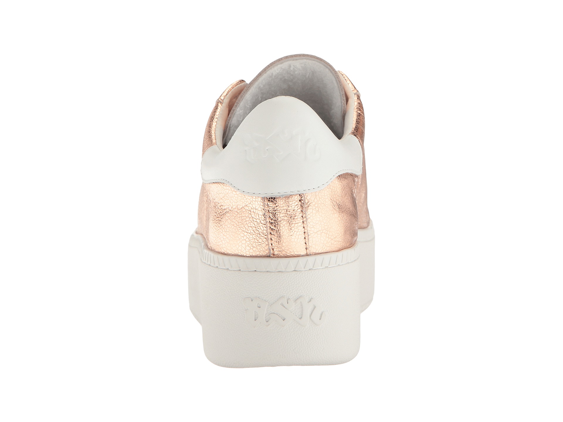 zappos ash