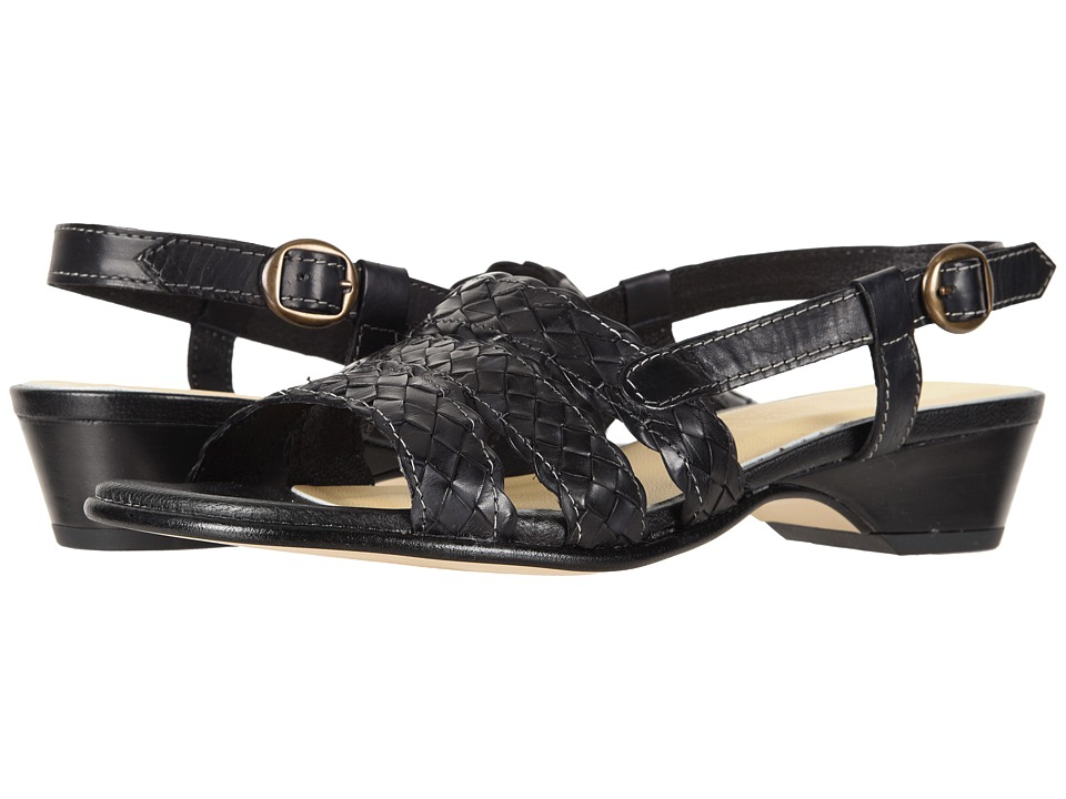 David Tate Bellisima (Black) Women's Shoes