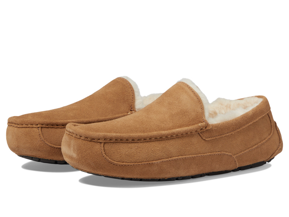 UGG Ascot (Chestnut) Men