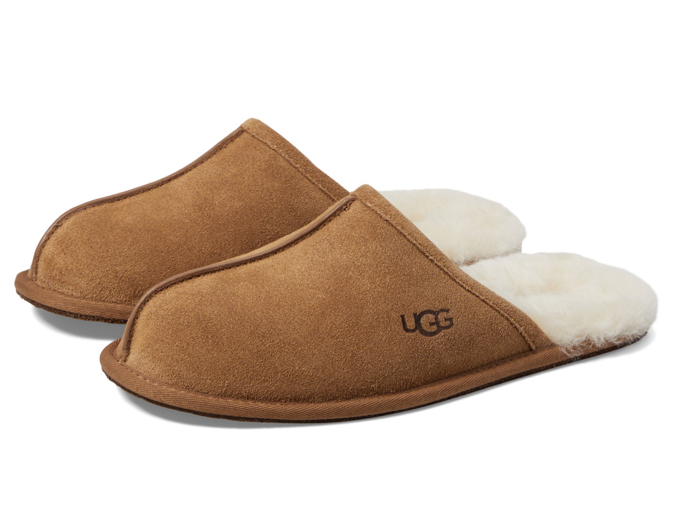 UGG Scuff (Chestnut) Men