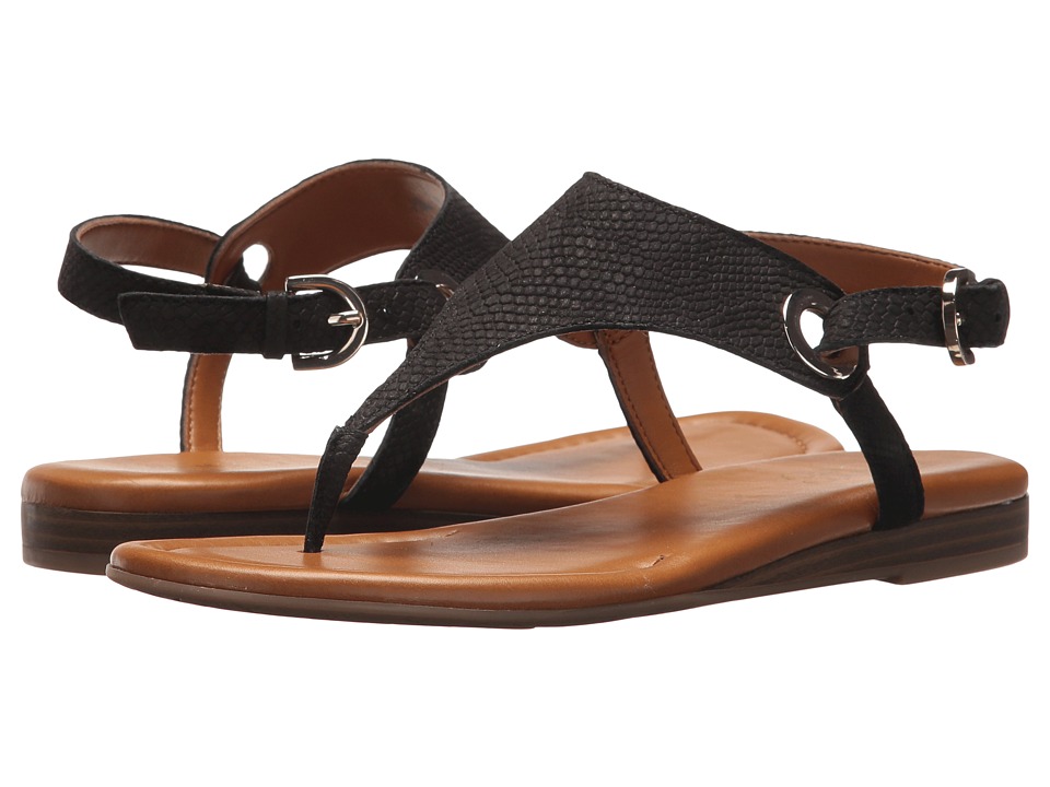 Franco Sarto Grip (Black 4) Women's Shoes